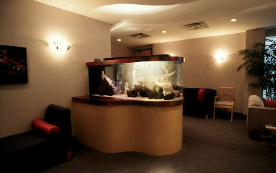 fishtank