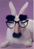 notas personales: bunny wearing incognito glasses